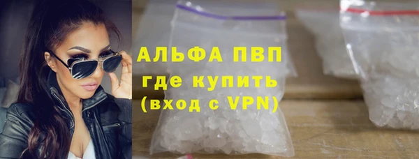 крисы Алзамай