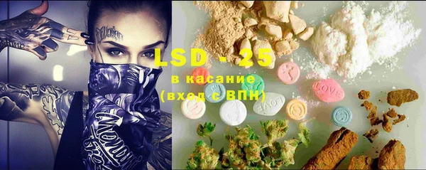 крисы Алзамай
