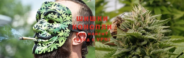 крисы Алзамай