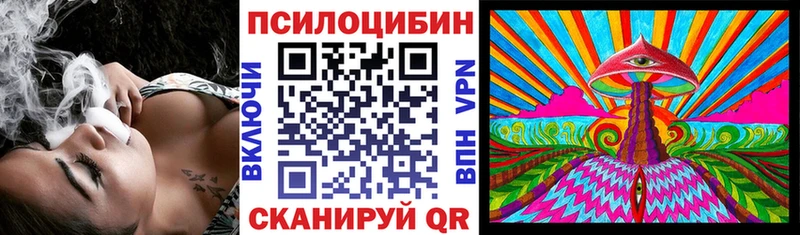 Галлюциногенные грибы Psilocybe  Старый Оскол 